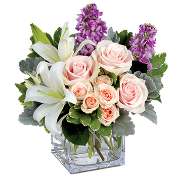 Code: A301. Name: Watercolour Wishes. Description: Straight off an impressionists canvas this muted masterpiece is a marvel of pale pink Roses snow white Lilies and purple stock. This display sits proudly in our Top Ten. Price: NZD $117.95