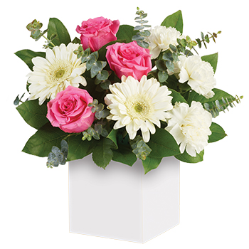 Code: A302. Name: Sweet Thoughts. Description: Share your sweet thoughts with this lady like arrangement of pure white Gerberas candy pink Roses and soft white Carnations. A very gentle colour combination. Price: NZD $97.95