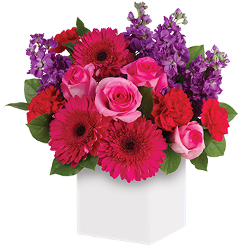 Code: A303. Name: Simply Stunning. Description: A stunning study in contrasts this fabulously feminine arrangement mixes pink Roses with hot pink Gerberas and purple Stock. A simple way to show you care. Price: NZD $127.95