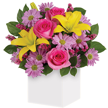 Code: A305. Name: Serenade. Description: A joyous surprise for any occasion this bright beautiful box arrangement of pink Roses golden Lilies and lavender Daisies is sure to please. Price: NZD $97.95