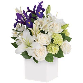 Code: A306. Name: Graceful Beauty. Description: Gorgeous white Lilies and delicate blue Iris dance gracefully with white Roses white Alstroemeria and soft lime Carnations in this luxurious arrangement. In our Top Ten. Price: NZD $110.95
