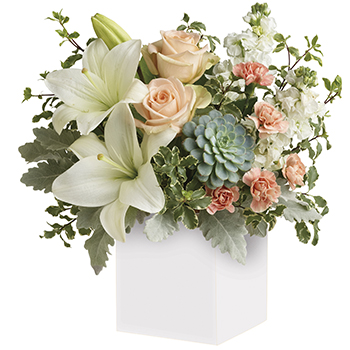 Code: A308. Name: Pedirka Sunrise. Description: Reminiscent of a desert sunrise this modern mix of peach blooms white Lilies and succulents is a super chic statement. Price: NZD $122.95