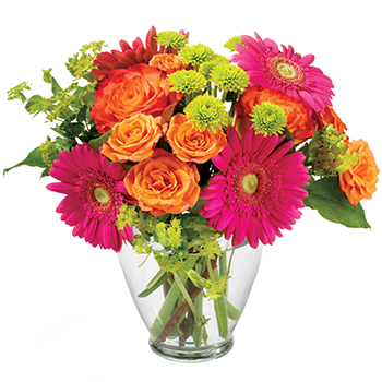 Code: A315. Name: Rainbow Wishes. Description: Encourage a beloved friend to follow their rainbow with this bright vivacious arrangement. Hot pink Gerberas orange Roses and touches of lime the youthful arrangement pops. Price: NZD $127.95