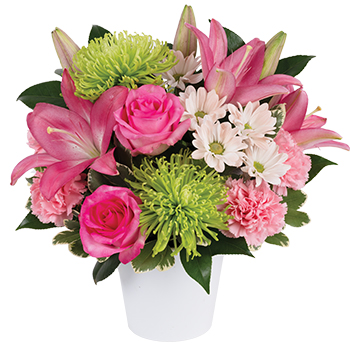 Code: A316. Name: Perfect Posy. Description: This is a beautiful arrangement with a touch of something different. Modern favourite pot of Lillies Chrysanthemums Carnations. Gift for any event in reusable flower pot. Price: NZD $112.95