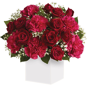 Code: A323. Name: Heart of Christmas. Description: Joyful red flowers presented in a clean white box. This colour combination makes the perfect gift for Christmas. Price: NZD $102.95