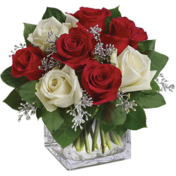 Code: A325. Name: Christmas Joy. Description: A mix of lush ruby and pure white Roses create a classic Christmas arrangement. A simple glass cube adds just the right touch. Price: NZD $135.95