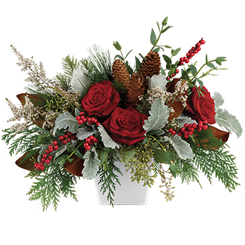 Code: A326. Name: Christmas Blooms. Description: Deck the halls and table with this artisanal mix of greens berries and Roses artfully arranged in a white container. Price: NZD $127.95