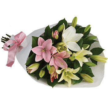 Code: B300. Name: Lovely Lilies. Description: Stunning in its simplicity this innocent harmony of light pink and snow white Lilies are a heartfelt way to send your very best. This display sits proudly in our Top Ten. Price: NZD $96.95