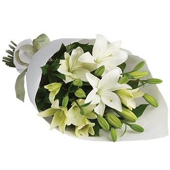 Code: B302. Name: White Delight. Description: Let someone know they are special by sending these beautiful blooms of white Lilies. This display sits proudly in our Top Ten. Price: NZD $99.95