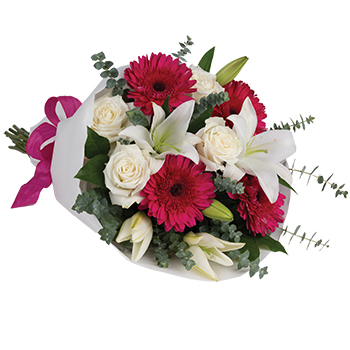 Code: B315. Name: Vivid. Description: Show someone how much you love them with this gorgeous bouquet of Lilies Roses and gorgeous Gerberas. Price: NZD $125.95