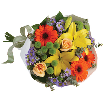 Code: B318. Name: Bright Lights. Description: A burst of brilliant flowers designed to make their spirits soar. This spectacularly colourful bouquet includes Lilies Gerberas and Roses. This display sits proudly in our Top Ten. Price: NZD $102.95