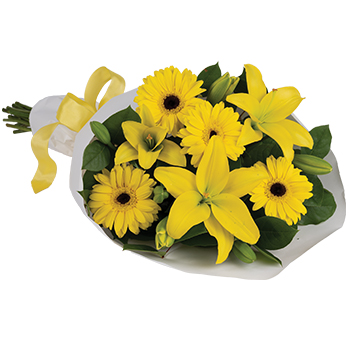 Code: B319. Name: Sunny Spot. Description: Pure sunshine. Send sunny thoughts to someone special with this bouquet of warm yellow Lilies and Gerberas. Price: NZD $94.95