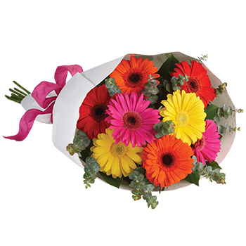 Code: B322. Name: Gerbera Brights. Description: Brighten someones day by sending a beautiful mix of bright colourful Gerberas delivered right to the front door. Price: NZD $105.95