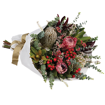 Code: B324. Name: Eleebana. Description: Wrapped bouquet of red green and white including striking natives like Proteas Leucadendrons and Gum. Price: NZD $117.95