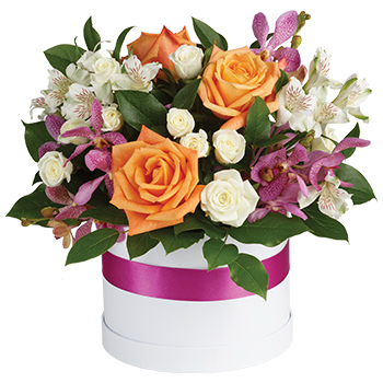 Code: C300. Name: Summer Chic. Description: This is a sizzling floral arrangement with mixed purple Orchids white Roses bright orange Roses in a container. Price: NZD $160.95
