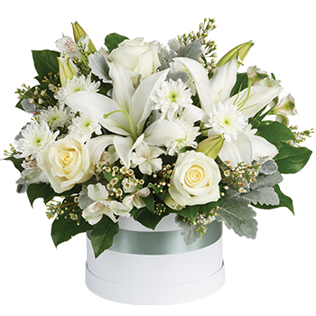 Code: C302. Name: Simply Chic. Description: Simple and striking clean and calming this all white hat box arrangement says everything you need to say featuring Roses Lilies and Alstroemeria accented with greenery. Price: NZD $157.95