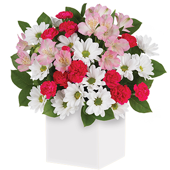 Code: C304. Name: Polka Dot. Description: Pretty polka dots of pinks red and white are the perfect pair. Well at least in this pretty arrangement they are. Price: NZD $102.95