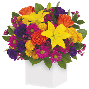 Code: C307. Name: Rainbow Surprise. Description: All the colours of the rainbow are present in this fabulous box arrangement. It is so bright so brilliant and so unique it will put anyone in the mood for celebrating. Price: NZD $122.95