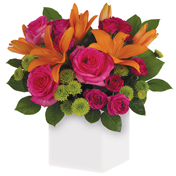 Code: C308. Name: Make a Wish. Description: Want to make someones birthday really rosy? This is the perfect arrangement. Colourful Roses fun flowers all wrapped up in a box that has Birthday wishes written all over it. Price: NZD $120.95
