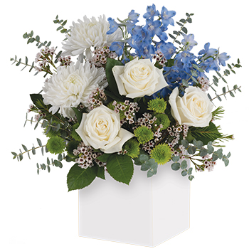 Code: C310. Name: it is a Boy. Description: Celebrate the coolest baby boy arrival with this charming box arrangement that arrives chock full of flowers in blue white and lime. Perfect for baby showers too. Price: NZD $130.95