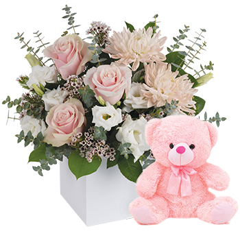 Code: C311. Name: it is a Girl with Teddy. Description: Celebrate the cutest baby girl arrival with this charming box arrangement that arrives chock full of pretty pastel flowers and a cute little keepsake friend. Price: NZD $147.95