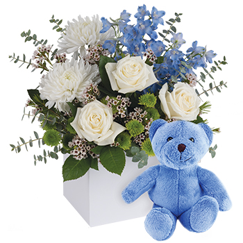 Code: C312. Name: it is a Boy with Teddy. Description: Celebrate the coolest baby boy arrival with this charming box arrangement that arrives chock full of flowers and a cute little keepsake friend. Price: NZD $147.95