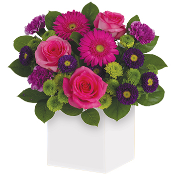 Code: C313. Name: Paradise. Description: If someone you know loves the colours pink and purple this box arrangement will create a sensation. A flower arrangement designed to create instant happiness. Price: NZD $112.95
