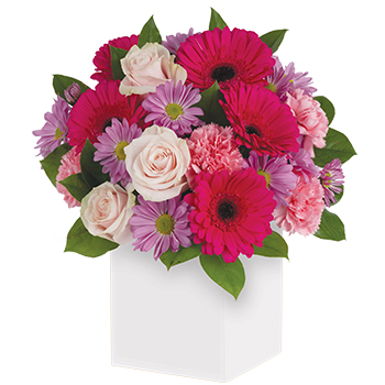 Code: C314. Name: Sweet Dreams. Description: Treat them to a special surprise. Hot pink Gerbera mix with pale pink Roses and Carnations in this delightfully delicious arrangement. Price: NZD $122.95