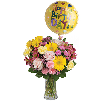 Code: C316. Name: Dazzle Her. Description: Dazzle someone on their special day with a stunning vase arrangement. Delightful blossoms and balloon are sure to make their day. Price: NZD $152.95