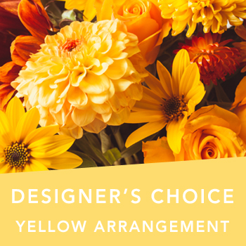 Code: D307. Name: Yellow arrangement . Description: Can not decide on what to send? The Designers Choice arrangement is a one of a kind yellow arrangement of the designers freshest flowers.  Price: NZD $85.95