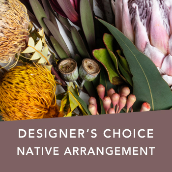 Code: D319. Name: Native arrangement. Description: Can not decide on what to send? The Designers Choice native arrangement is a one of a kind arrangement of the designers freshest native flowers.  Price: NZD $127.95