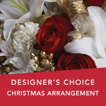Code: D327. Name: Christmas arrangement. Description: Our designers choice Christmas Bouquet will be a treasured gift A beautiful Christmas inspired arrangement of the freshest flowers perfect for the Christmas table. Price: NZD $102.95