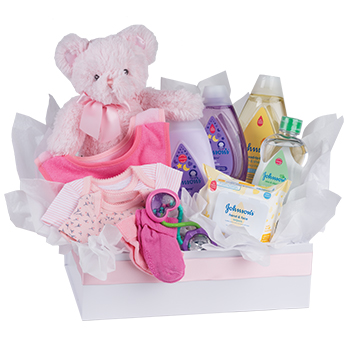 Code: H300. Name: Baby Girl Bundle. Description: What better way to welcome a new Baby Girl than with this lovely gift of goodies for their new family member.  Price: NZD $150.95