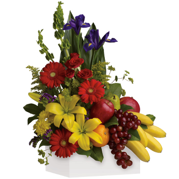 Code: H304. Name: Fruit Dreams. Description: A healthy gift for all the family. A fruit and flower combo of seasonal fruit and flowers. Yummy for the whole family. Price: NZD $162.95