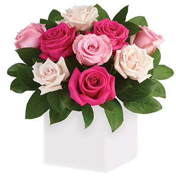 Code: R300. Name: Blushing Roses. Description: Sing them a love song with Roses. This lush mixed pink tones box arrangement of gorgeous Roses tells them just how much you care. Price: NZD $125.95
