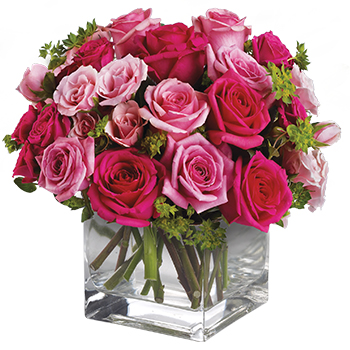 Code: R304. Name: Fairytale Ending. Description: This exquisite arrangement of light pink and hot pink Roses is a thoughtful gift that will long be remembered. Price: NZD $265.95