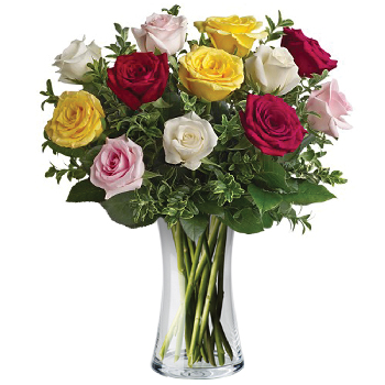 Code: R307. Name: Mixed Dozen. Description: When you want to send Roses but red is not their colour make a splash with 12 Roses in an assortment of colours presented in a vase. Price: NZD $175.95