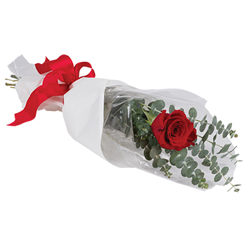 Code: R310. Name: The One and Only. Description: The one the only. When you have found your single love celebrate by sending this single Rose. Simple stunning sure to take their breath away. Price: NZD $53.95