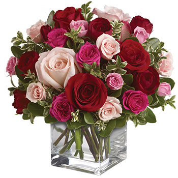 Code: R315. Name: Lovely Melody. Description: Their heart will break into song when this romantic cube of ravishing Roses arrive. A symphony of size and shade this red and pink present will hold their heart forever. Price: NZD $202.95
