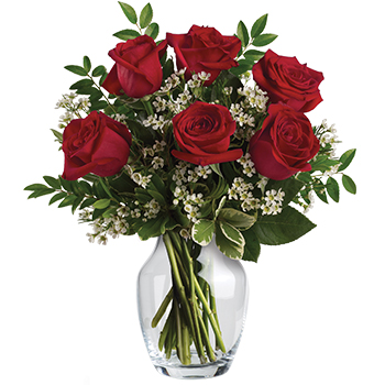 Code: R319. Name: Hearts Delight. Description: What an absolute delight. Six stunning Roses put your love centre stage in this charming vase arrangement. Price: NZD $117.95