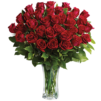Code: R323. Name: Love and Devotion. Description: Shout your love from the rooftops with 36 red Roses artistically arranged in a vase. Three dozen red Roses make a spectacular romantic bouquet. they will be yours forever. Price: NZD $425.95