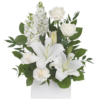 Code: S301. Name: White Simplicity. Description: If you want to send your warmest to show how much you care this lovely arrangement with white Carnations Roses and Lilies sends your thoughts compassionately. Top Ten. Price: NZD $112.95