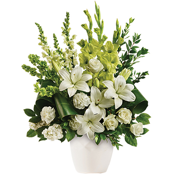 Code: S304. Name: Clouds of Heaven. Description: As serene as gently falling snow this elegant white arrangement in a large antiqued pot is a heartfelt symbol of peace and beauty a memory that will remain a guiding light. Price: NZD $215.95