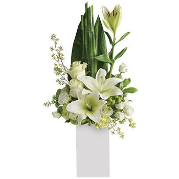 Code: S305. Name: Peace and Harmony. Description: Your sincere wishes for peace and harmony resonate beautifully in this zen like arrangement of white blooms and sculptural greens. Price: NZD $140.95