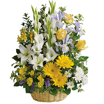 Code: S316. Name: Basket of Memories. Description: Take a walk through the garden of memories with this lush basket of yellow white and blue blooms. It is a joyful expression of sympathy sure to be appreciated. Price: NZD $157.95