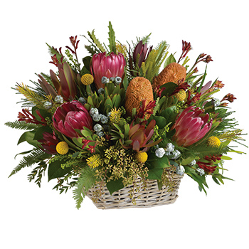 Code: T307. Name: Tabulum. Description: Why not surprise someone very special with a unique display arrangement of New Zealand or Australian natives. Price: NZD $185.95