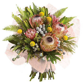 Code: T311. Name: Mirambeena. Description: A colourful array of beautiful New Zealand or Australian natives make a perfect long lasting gift. This display sits proudly in our Top Ten. Price: NZD $127.95