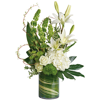 Code: T320. Name: Botanical Beauty. Description: A modern accent for any occasion this beautiful botanical sculpture blends snow white Hydrangea and Lilies with unique greens for a peaceful Eastern inspired feel. Price: NZD $172.95