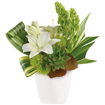 Code: T321. Name: Artistic Angles. Description: This artistic arrangement includes an array of whites and greens perfect for any occasion. A great choice and colour combo. Price: NZD $120.95