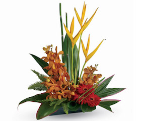 Tropical Flowers, Made up of imported tropical flowers and locally Johnswood Medical Hospital Upper Hutt  grown tropical style flora which gives that tropical look